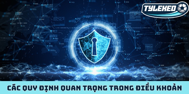 Chính sách bảo mật Tỷ Lệ Kèo Nhà Cái và thu thập thông tin 2 Các quy định quan trọng cụ thể trong điều khoản