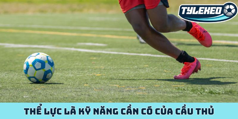 Tiền đạo phòng ngự là gì - Thấu hiểu bí quyết chiến thắng 2 Thể lực là kỹ năng cần có của cầu thủ