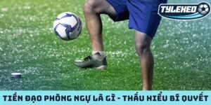 Tiền đạo phòng ngự là gì
